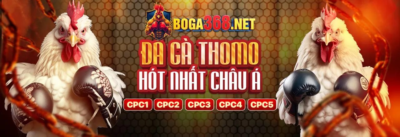 Đá gà trực tiếp tại King88 Code